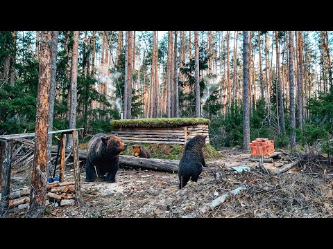 14 Days in My Secret Underground House: The Ultimate Spring Adventure!