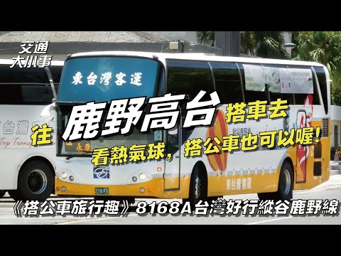 往鹿野高台，看熱氣球搭公車去也可以喔！順便遊玩花東縱谷的景點，鐵花村、初鹿牧場、鹿野神社｜《搭公車旅行趣》8168A 台東轉運站－鹿野高台｜台灣好行縱谷鹿野線｜交通大小事