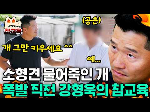 [#참교육] 책임 회피 보호자에 초강수! “그럼 그만 키우세요”⚡ 강형욱의 현실 조언 | #개와늑대의시간 8회