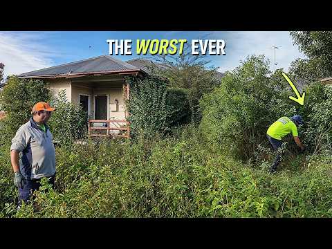 This was the WORST Yard I’ve Ever Attempted…and It Cost me $1500 to fix it