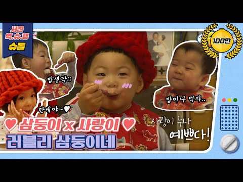 [시간역.슈.행⏰]대한민국만세X추사랑 조합은 꿀뚝뚝이죠😘 러블리한 삼둥이네[슈돌유튜브]