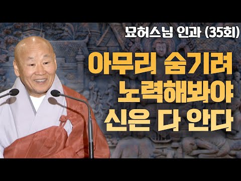 아무리 숨기려고 해도 부처님한테는 다 보인다 [묘허스님의 인과 35회]