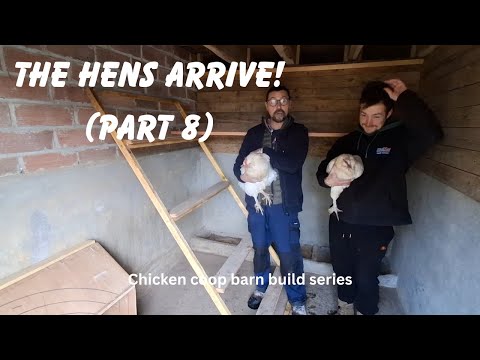 Chicken coop build. THE HENS ARRIVE! (PART 8)