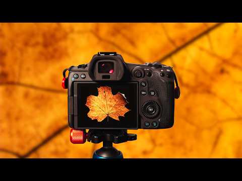 Macro Flash at Home: An Easy Idea for Creative Shots!