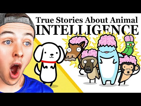 Reacting to the SMAREST ANIMALS IN HISTORY!