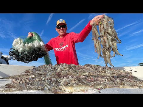 Catching Thousands of Wild Shrimp in a Huge Cast Net (Catch Clean & Cook)
