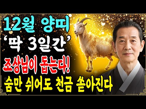 양띠로 태어나셨다면 이 영상이 당신의 운명을 바꿉니다! 12월에 태어난 양띠라면 재물운이 급상승하며 큰돈이 들어옵니다.