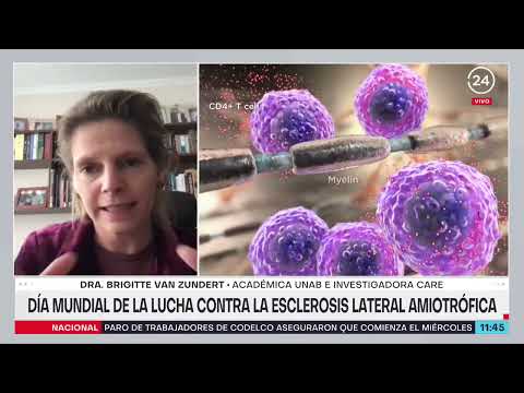 Dra. Brigitte van Zundert sobre el ELA: "El 90% de los casos no tiene antecedentes familiares"
