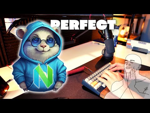 VIM *IS* AN IDE // The PERFECT Neovim & Golang Setup