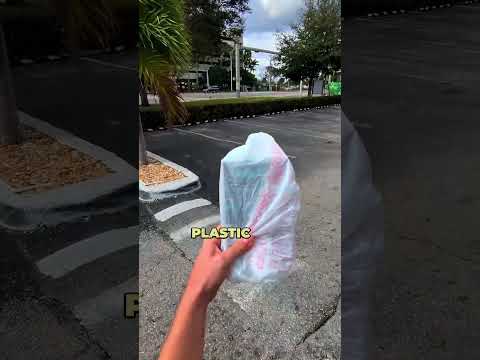 MINT CITY HOLLYWOOD GIVEAWAY!