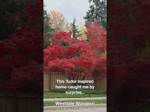 This Tudor inspired home caught me by surprise Westdale Wonders!