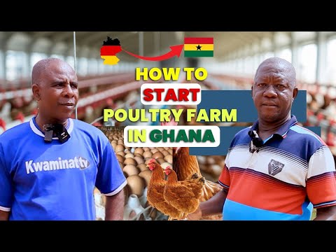 How to Start Poultry Farming In Ghana