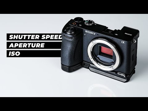 Mastering Camera Basics: ISO, Aperture, and Shutter Speed