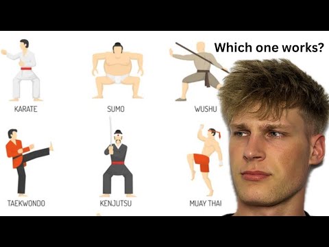 Which martial arts ACTUALLY work?
