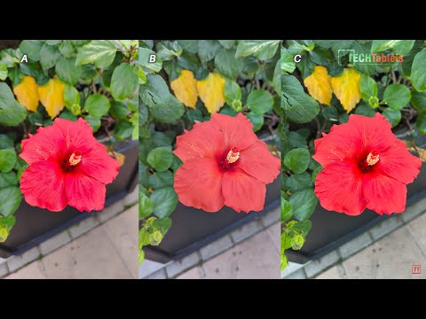 Pixel 6 Pro Vs Vivo X70 Pro Plus Vs iPhone 13 Pro Max BLIND Camera Comparison