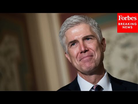 'I Do Not Understand It As You Use It': Neil Gorsuch Grills Attorney On Executive's Conclusive Power