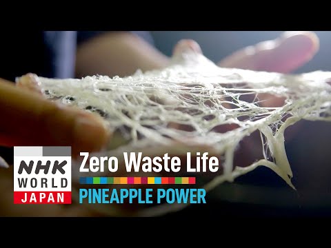 Pineapple Power - Zero Waste Life