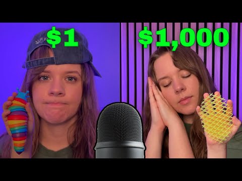 $1 VS $1,000 ASMRtist... (you hired me)