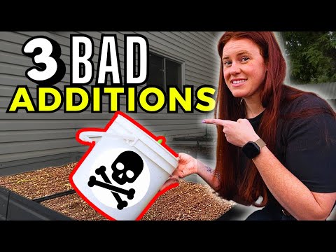 STOP Putting THIS in Raised Beds (It’s Killing Your Plants)