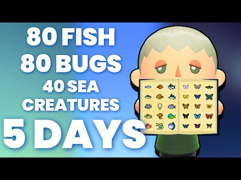 I Completed the ACNH Critterpedia in 5 DAYS!