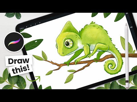 How To Draw A Color-Changing Chameleon • Procreate Animation Tutorial