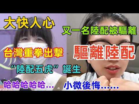 大快人心,又一名陸配遭驅離,永久驅離,小微已經後悔了,想回台灣,館長再次戲精上身,大陸網友已經看穿,好戲來了......