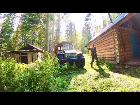 CONSTRUCTION OF THE MAIN FACILITY AT THE BASIC HUT. PICKING PORCELAIN MUSHROOMS.