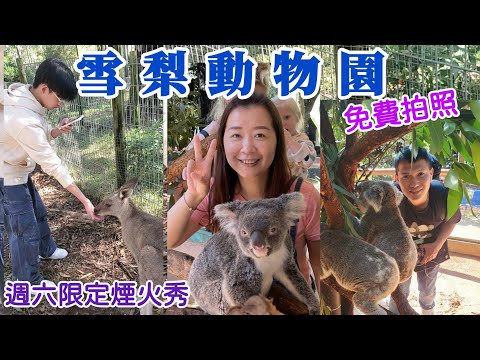 【澳洲🇦🇺雪梨自由行06】雪梨動物園，無尾熊拍照免費，週六限定煙火秀很讚，Sydney 雪梨一日遊景點推薦👍