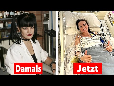NCIS / So sehen die Stars HEUTE aus 2025!