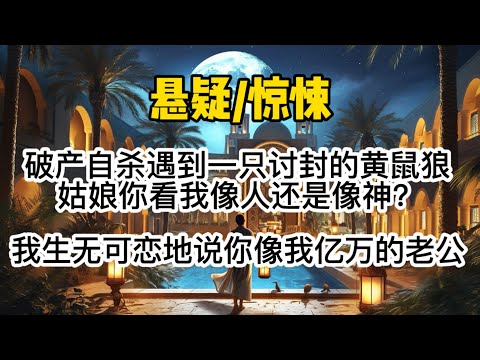 破产后遇到一只讨封的黄鼠狼。「姑娘你看我像人还是像神？」我生无可恋地说：「你像我那坐拥亿万资产的老公。」它惊恐后退。#惊悚 #懸疑 