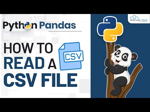 Read Python CSV files - with PANDAS | Complete PandasTutorial