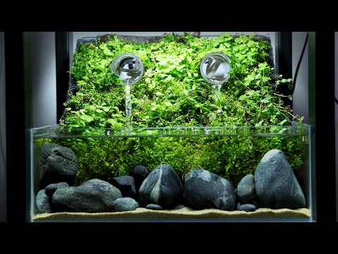 파이프에서 물이 나오는, 배수로를 모티브로 한 테라리움 꾸미기