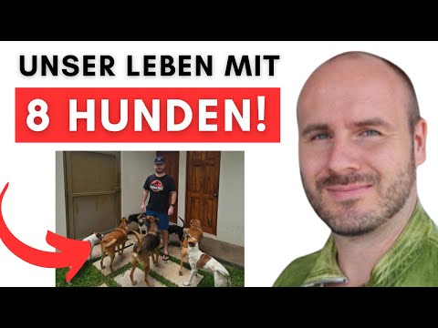Conclusion after 2 years with 8 dogs! Daily life, costs, problems & some surprises! (with videos)