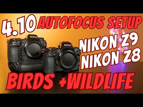 Nikon Z8 and Z9 - 4.10 Autofocus Setup and Button Layout for Bird and Wildlife Photography