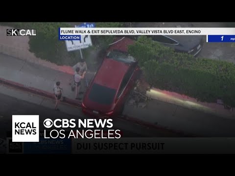 Wild pursuit with DUI suspect ends with crash in San Fernando Valley