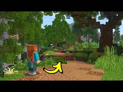 I Built a REAL FOREST in my Minecraft World