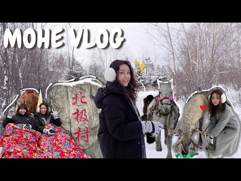 漠河VLOG（下）⎮勇闖中國最北端！體驗東北最原始的交通工具🛷馴鹿我來惹🦌