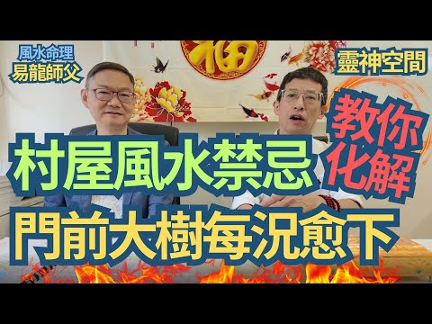 風水命理 (易龍師父 )村屋風水禁忌/門前大樹每況愈下/窗前樹葉易招陰/師父教你如何化解/