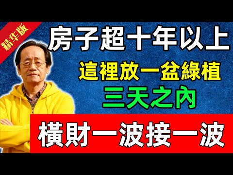 倪海廈：房子超十年以上？這裡放一盆綠植，三天之內，橫財一波接一波！#佛陀#佛法 #佛教 #修行 #智慧 #因果#佛學知識 #佛學智慧#风水 #风水玄学
