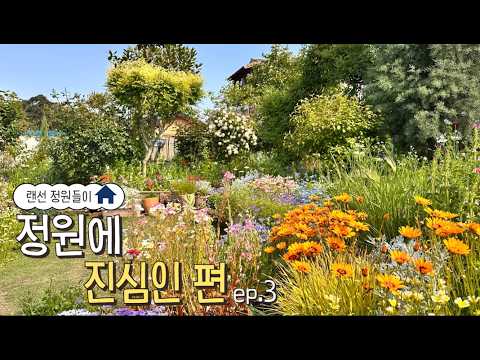 🏡랜선 정원들이 │ 꿈꾸는 마당🌼 정원에 진심인편 ep.3