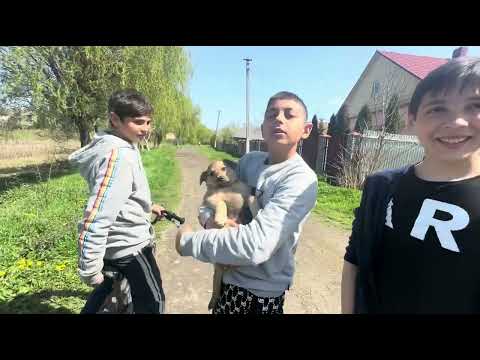 Роми Закарпаття. Паралельна реальність. Ромське поселення в угорськомовному селі. Ukrainian Roma.