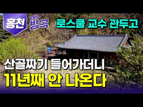 [강원 홍천] "5분도 못 버티겠더라" 로스쿨 대학교수로 폼 나게 살다 물 맑은 골짜기 가장 깊숙히 들어와 11년째｜삼시세끼 금방 난 것들 먹는 산골살이｜#한국기행 #방방곡곡