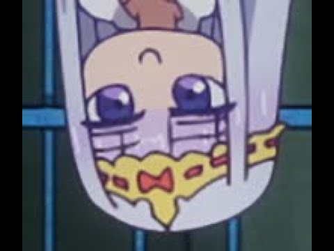 ANIME JEOPARDY LIVE ft. Tyler, Fire, Zarky, Cipher