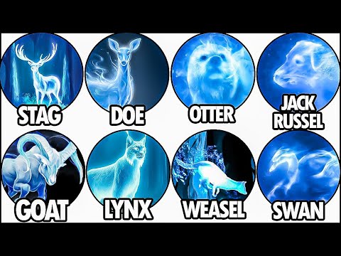 Every PATRONUS Form & Its Deeper Meaning EXPLAINED in Detail