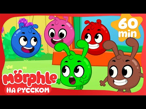 Разноцветные Морфлы🟢🔴🟡🔵 | Сборник 1 Час | Мой волшебный питомец Морфл — Мультики для детей