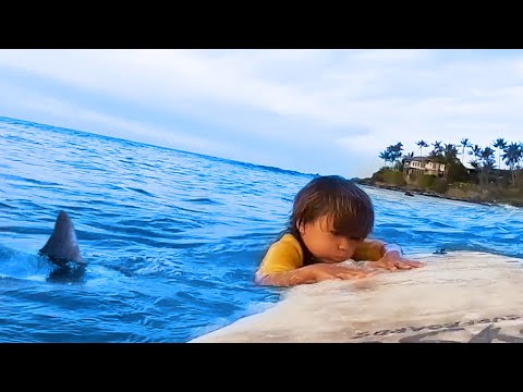 5 YR OLD KID SURFS WITH SHARK IN HAWAII