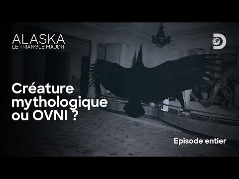 Le mystère du vol 1628 ✈️🧐 Alaska le triangle maudit