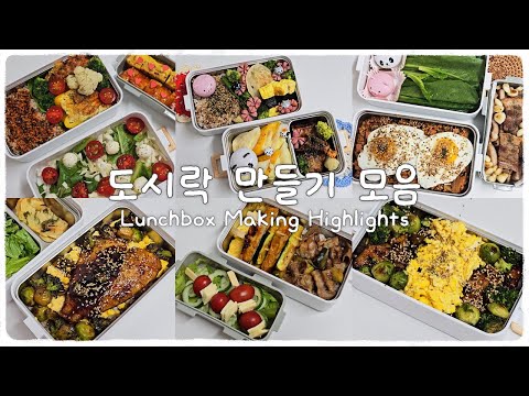Lunchbox Collection from Sep to Oct 2025 l Dinners I make for my boyfriend🍱💕  #lunchbox #koreanfood