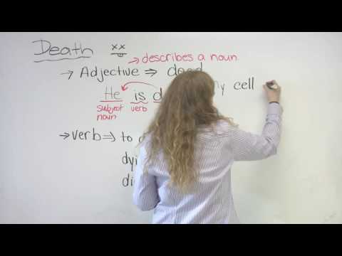 English Vocabulary - Death and Dying