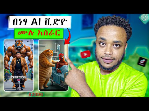 ▢በነፃ AI ቪዲዮ እንዴት ይሰራል? | ቀላል ነው